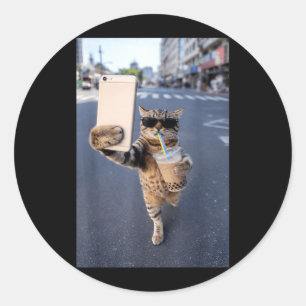 Cat Selfie with Iced Coffee Funny Cat Meme Animal Classic Round Sticker