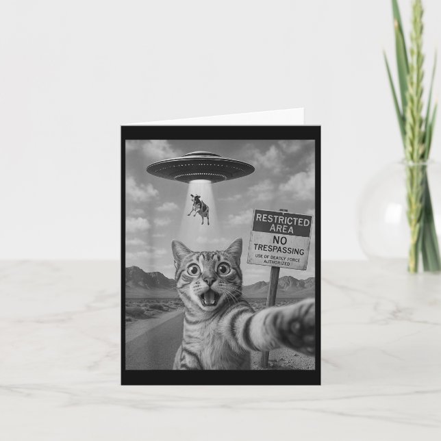 Cat Selfie With Ufo Alien Abduction Funny Cow Humo Card (Front)