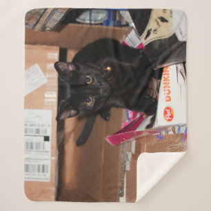 Cat  sherpa blanket