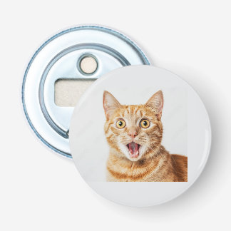 cat shocked bottle rocked opener