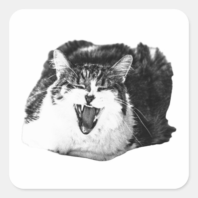 Cat Shout, Peel Art Square Sticker (Front)