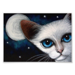 CAT SIAMOIS 7" x 5",  de papier de photo de Kod
