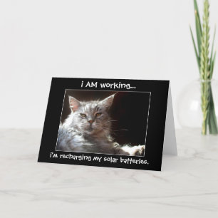 Cat sieste dans une note de soleil ou une carte de