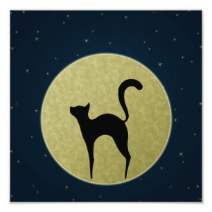 Cat silhouette and moon Photo print