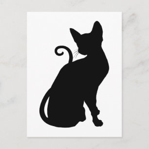 Cat Silhouette Postcard