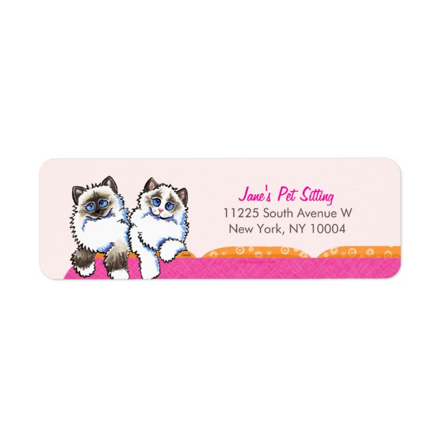 Cat Sitter Business Ragdoll Couch Pink (Front)