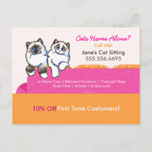 Cat Sitter Coupon Mailer Ad Ragdoll Couch Pink Postcard
