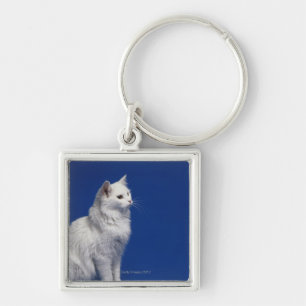 Cat sitting against blue background keychain