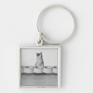 Cat sitting and licking beside pet bowl on white keychain