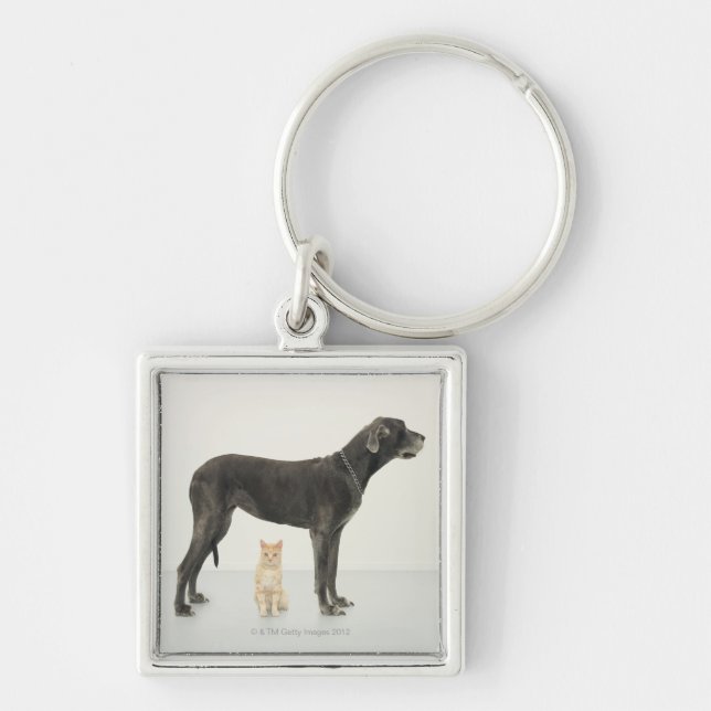 Cat sitting beneath Great Dane Keychain (Front)