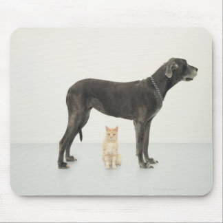 Cat sitting beneath Great Dane Mouse Pad