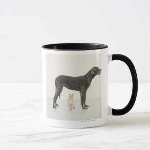 Cat sitting beneath Great Dane Mug