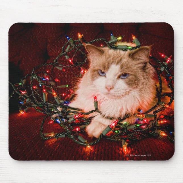 Cat sitting on a ball of Christmas lights. Mouse Pad (Front)