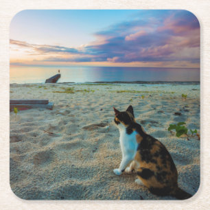 Cat Sitting On A Beach Square Paper Coaster