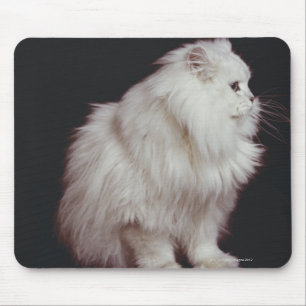 Cat sitting on black background, close-up mouse pad