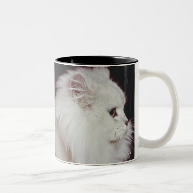 Cat sitting on black background, close-up Two-Tone coffee mug (Right)