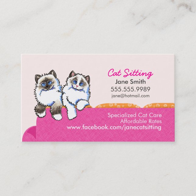 Cat Sitting Ragdoll Couch Pink Business Card (Front)