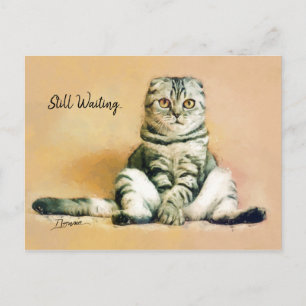 Cat Sitting Still Waiting   I Miss You Postcard
