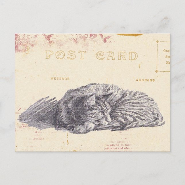 Cat Sketch Gold and Pink Vintage Postcard (Front)