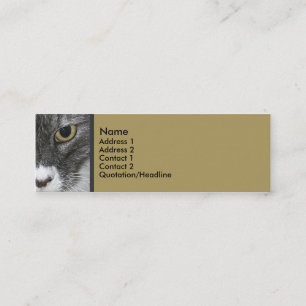 Cat Skinny Profile Card
