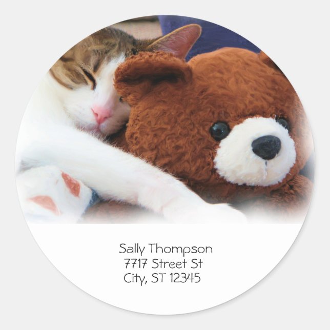 Cat Sleep Teddy Bear Address Classic Round Sticker (Front)