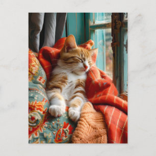 Cat Sleeping by Window with Pillow and Blanket Postcard