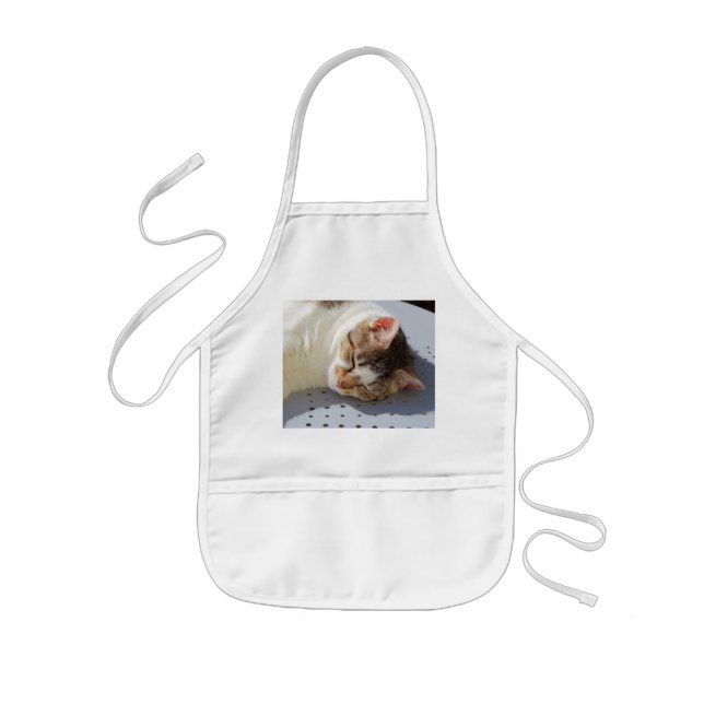 Cat sleeping in a garden kids apron (Front)