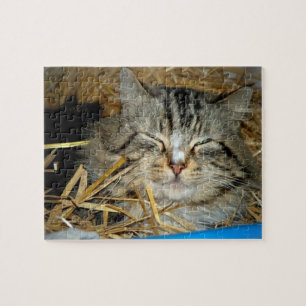 Cat Sleeping Kitty Photo Jigsaw Puzzle