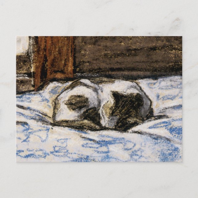 Cat Sleeping on a Bed Postcard (Front)