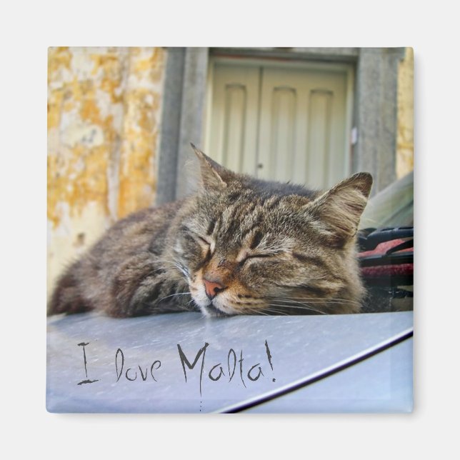 Cat sleeping on a car magnet (Front)