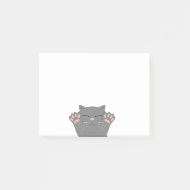 Cat Sleeping Post-it Notes (Front)