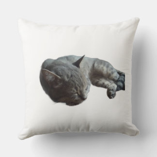 Cat sleeping throw pillow