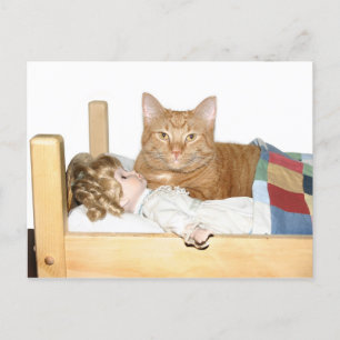 Cat slumber Party Postcard