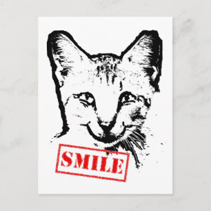 Cat Smiling Postcard