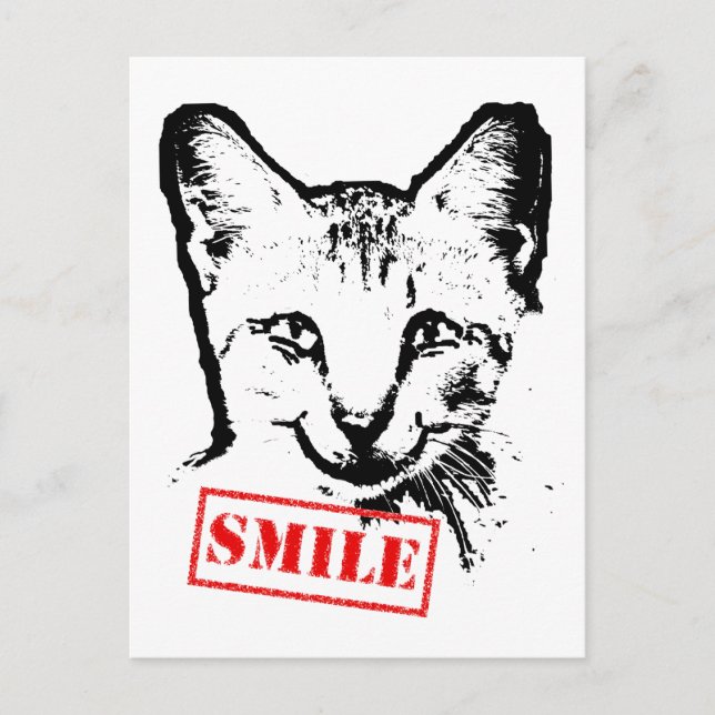 Cat Smiling Postcard (Front)