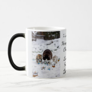 Cat Snow Globe, Image Names Text, Customize, Magic Mug
