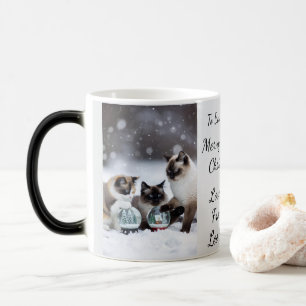 Cat Snow Globe, Image Names Text, Customize,  Magic Mug