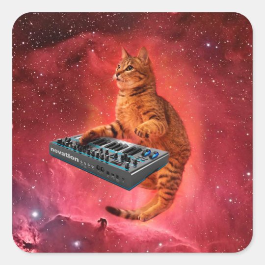 cat sounds - cat - funny cats - cat memes square sticker