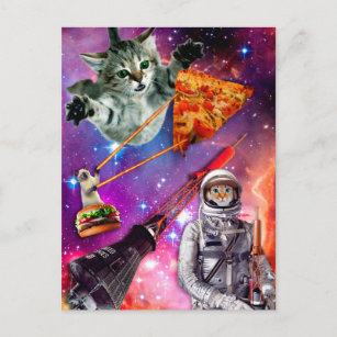 Cat Space Federation Postcard