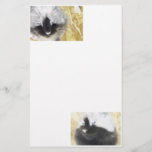 Cat Special Effects Stationery