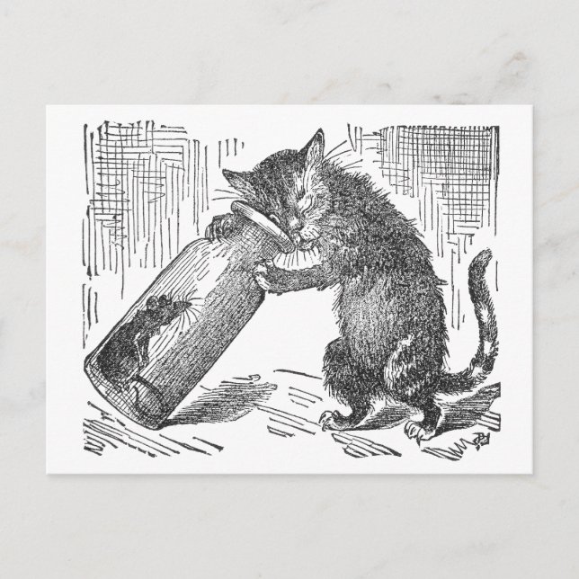 Cat Spies Mouse in Bottle Postcard (Front)
