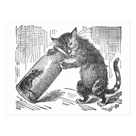 Cat Spies Mouse in Bottle Postcard