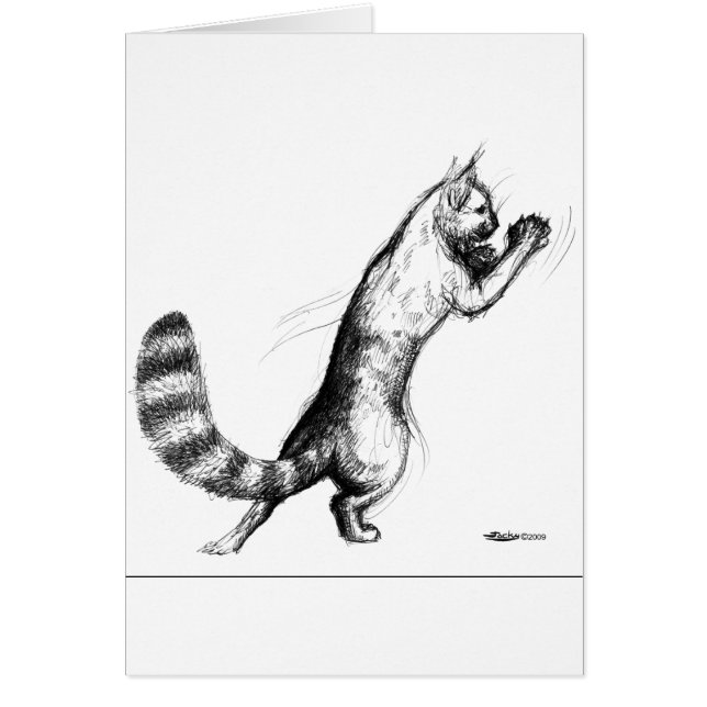 Cat Springing2 (Front)