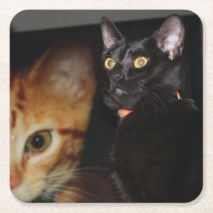 Cat Square Paper Coaster