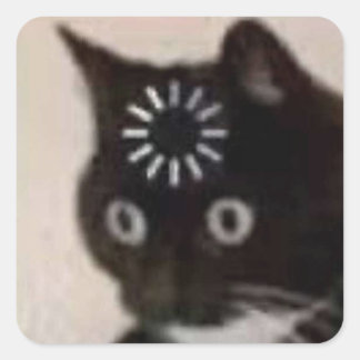cat square sticker