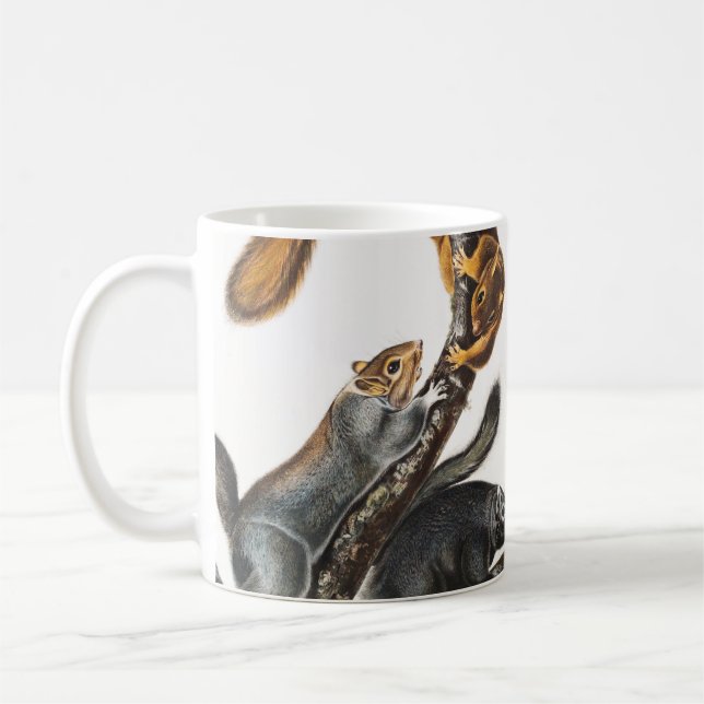 Cat Squirrel (Sciurus cinereus) Illustration Coffee Mug (Left)