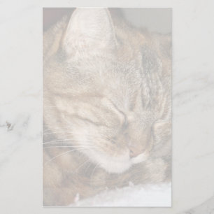 Cat Stationery