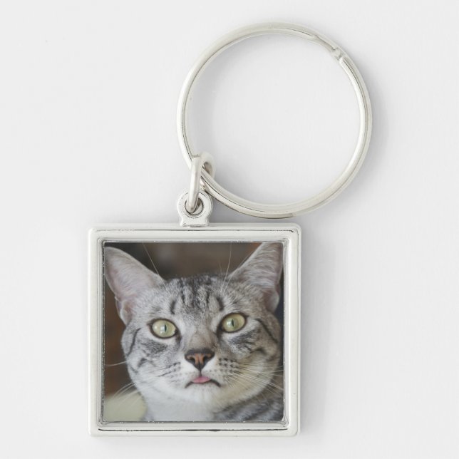Cat Sticking out tongue key chain (Front)