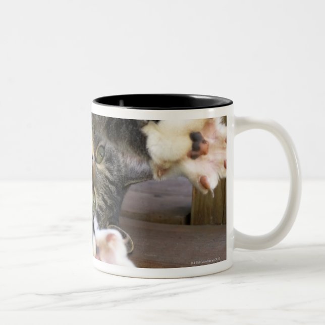 Cat stretching, indoors Two-Tone coffee mug (Right)