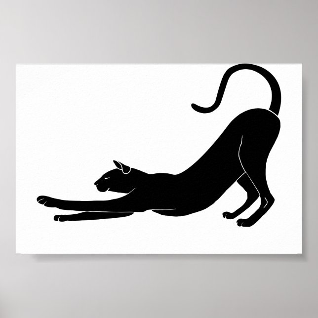 Cat Stretching Poster (Front)
